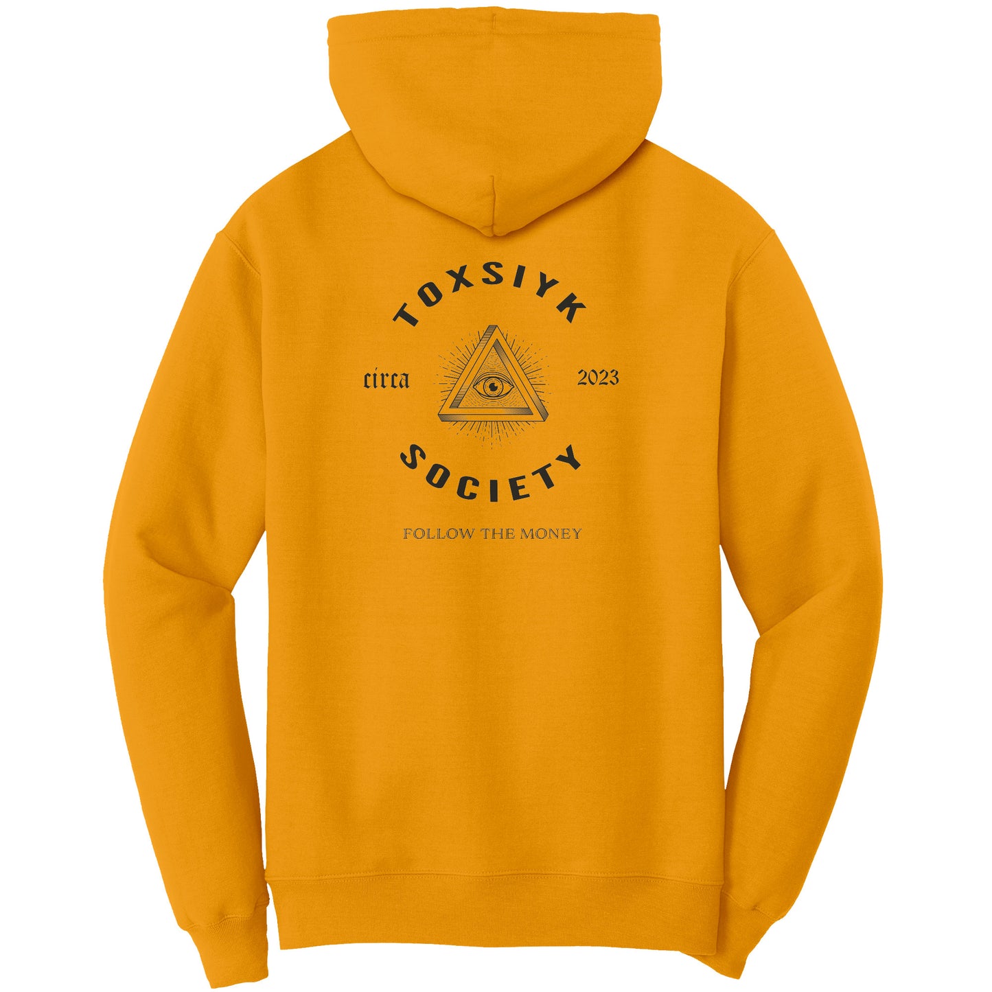 FOLLOW THE MONEY-TOXSIYK Port & Co Hoodie